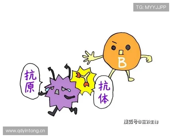 一文读懂判罚优先级规则如何影响争议球的判决