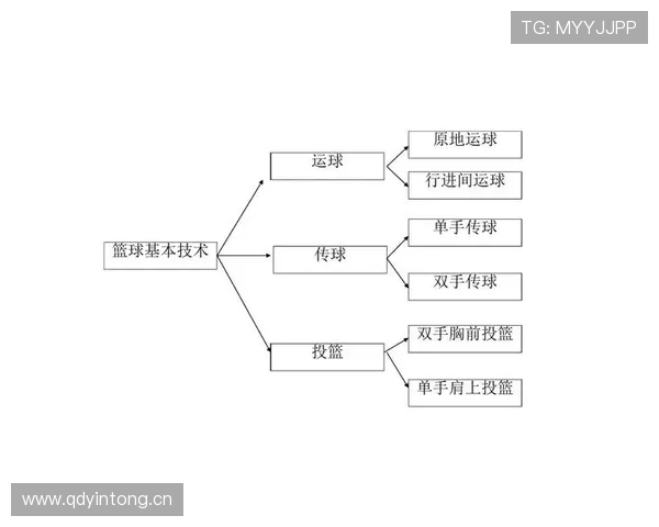 篮球比赛开球规则的具体流程与相关判罚标准详细解析
